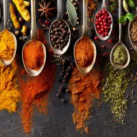 ویزیتور خانم برای ادویه جات بسته بندی