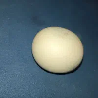 الماس آسیاب|جواهرات|شیراز, لاله|دیوار