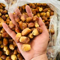 خرمای زاهدی ،خرما