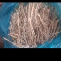 ۱ کیلو نر خرما خشک،فروشی فقط ۱،۶۰۰ یک ملیون و ششصد