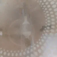 قاب لامپ هالوژنه به همراه لامپ وخازن|لامپ و چراغ|ساری, |دیوار