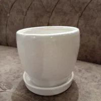 گلدان|صنایع دستی و سایر لوازم تزئینی|رشت, پیرسرا|دیوار