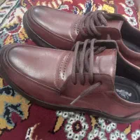 کفش مردانه|کیف، کفش، کمربند|گناباد, |دیوار