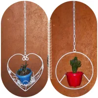 جا گلدانی استند|گل و گیاه طبیعی|اهر, |دیوار