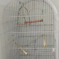 قفس بزرگ و نو