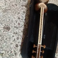 تار حرفه ای|سازهای سنتی|شیراز, هفت تنان|دیوار