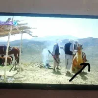 تلویزیون ال جی