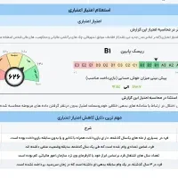 ضامن. ضمانت