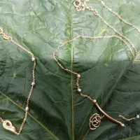 طلا فقط به قیمت تابلو