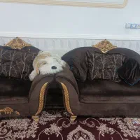 مبل|مبلمان خانگی و میز عسلی|زابل, |دیوار