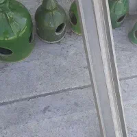 کفتر وجاابی جادونی کفتر