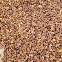 فروش حشف (ضایعات خرما)