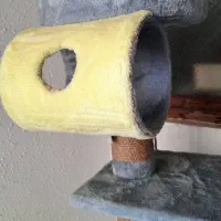 درخت گربه برند پتاژه|لوازم جانبی حیوانات|صومعهسرا, |دیوار