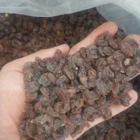 مویز آفتابی شیره|خوردنی و آشامیدنی|شیراز, میانرود|دیوار