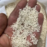 سرلاشه هاشمی و برنج علی کاظمی