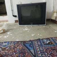 تلویزیون