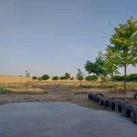 زمین دور دیوار به رهن واجاره داده می‌شود