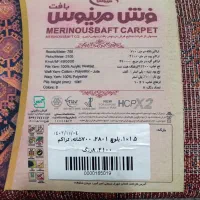 قالی قرمز