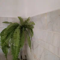 مقداری وسیله خونه|گل مصنوعی|بروجرد, |دیوار