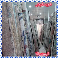 فروش و خریدار فرش تراکم بالا و پایین سمساری هم جور|فرش|پرند, فاز ۲|دیوار