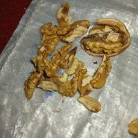 گردو معاوضه با برنج.چمپا وشمیم ..فجر|خوردنی و آشامیدنی|دهدشت, |دیوار