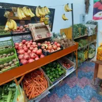 لوازم میوه فروشی|فروشگاه و مغازه|شیراز, کوشک میدان|دیوار