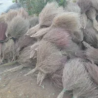 جارو|لوازم نظافت|سبزوار, توحیدشهر|دیوار