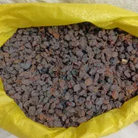 کشمش وه مویز