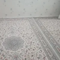 مدل فرش سپنتا آفرینش(رنگ گیتی کرم تافته