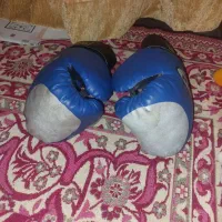 دست کش بوکس|تجهیزات ورزشی|تهران, شهرک زینبیه|دیوار