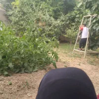 خدماتی ونظافتی