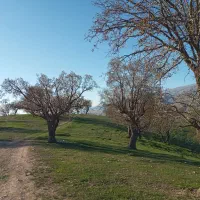 زمین مسکونی