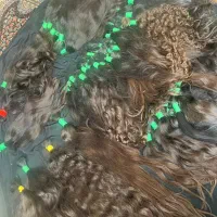 خریدارمو خریدموخریدار اصلی موخریدارموطبیعی فروش مو|آرایشی، بهداشتی، درمانی|تهران, تولید دارو|دیوار
