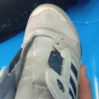 zx8000 فیلی|کیف، کفش، کمربند|رباط‌کریم, رباط‌کریم|دیوار
