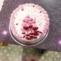 سفارش انواع کاپ کیک وکیک تولد|خوردنی و آشامیدنی|الشتر, |دیوار