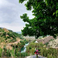 اجاره روزانه/هفتگی/ماهانه ویلا ۱ هکتار