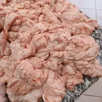 شهله گوسفندی گاوی پـخش عمـده در استان قم|خوردنی و آشامیدنی|قم, نخودی|دیوار