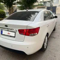 فروش سراتو خانگی