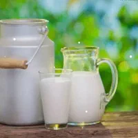 لبنیات