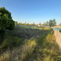 زمین-باغی