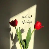 زعفران کاملا طبیعی استان لرستان شهرستان الشتر