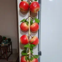 میوه‌های آویزی