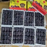 فروش خرماهای جنوب کرمان وضایعات خرما|عمده‌فروشی|کوهسار (آذربایجان), |دیوار