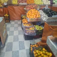 نیازمند همکار