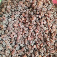 کشمش درشت وشیرین|خوردنی و آشامیدنی|خرمدره, |دیوار