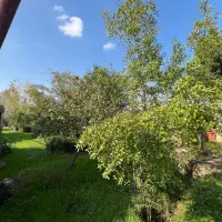 گلخانه|فروش دفتر صنعتی، کشاورزی، تجاری|رشت, حومه رشت|دیوار