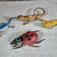 مارمولک هافیگور