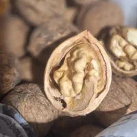 فروش گردو درجه یک