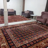 دو عدد فرش ۹ متری|فرش|رباط‌کریم, رباط‌کریم|دیوار