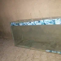 اکواریوم
